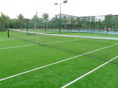 龍泉驛區網球俱樂部